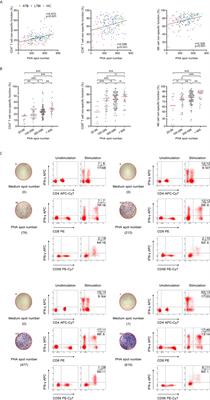 Lymphocyte Non-Specific Function Detection Facilitating the Stratification of Mycobacterium tuberculosis Infection